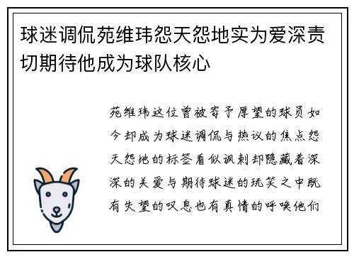 球迷调侃苑维玮怨天怨地实为爱深责切期待他成为球队核心